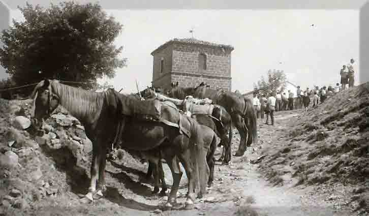 Rogelia Gayo